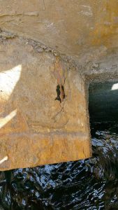 Damaged Sewer Pipe