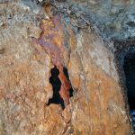 Damaged Sewer Pipe