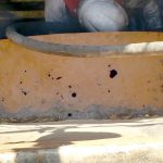 Damaged Sewer Pipe