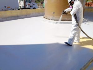 Advantage Reline External Spray