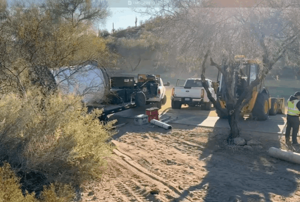Golf Course Rehab