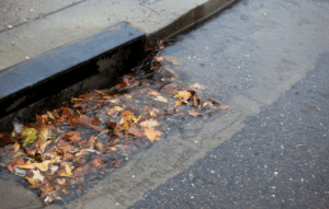 Storm drain with leaf buildup and water accumulation