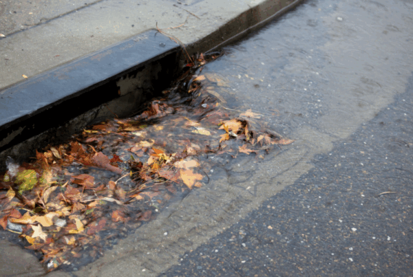 Storm drain with leaf buildup and water accumulation
