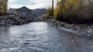 Water Treatment Plant